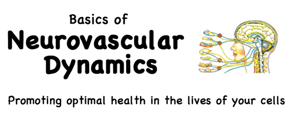 Neurovascular-dynamics